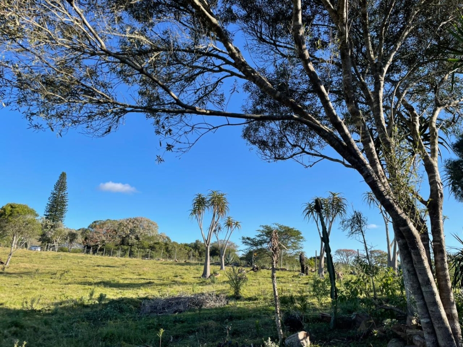 0 Bedroom Property for Sale in Bathurst Eastern Cape